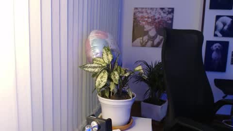 Hera online show from January 2026 09:57:02 AM