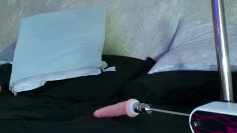 Snapshot of dixie_grey1 chatting on September 2025 02:50:01 PM Sofia online show from September 2025 02:50:01 PM