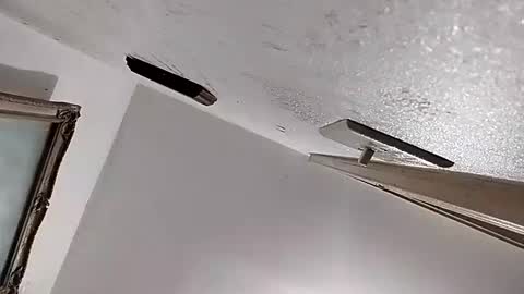 Snapshot of dixonbird41 chatting on February 2025 02:46:01 AM dixonbird41 online show from February 2025 02:46:01 AM