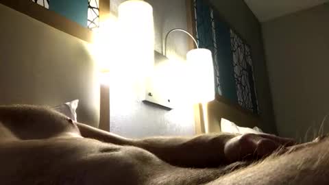 dl8642 online show from November 2025 02:06:01 AM