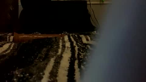 dlpbttm87 online show from April 2026 12:13:02 AM