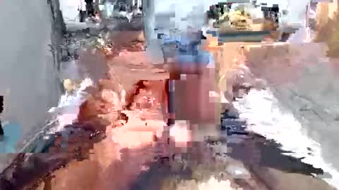 dmann1202 online show from January 2026 08:03:01 PM