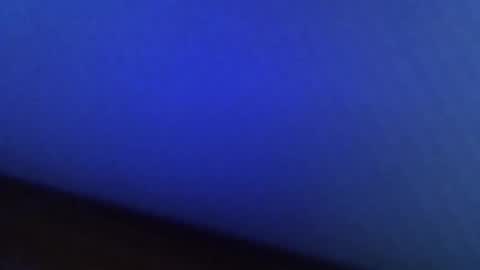 dn10 online show from February 2025 09:56:02 AM