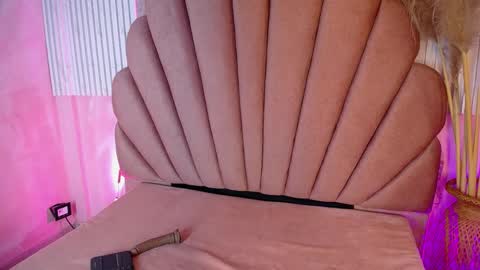Kitty online show from May 2026 11:52:02 AM