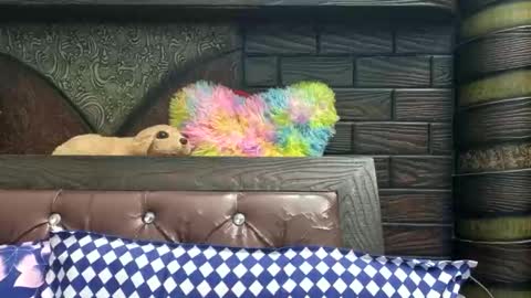 dollmeenu online show from November 2025 06:45:02 AM