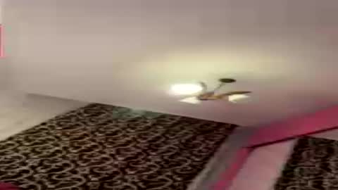 dollpetal online show from July 2026 06:43:01 PM