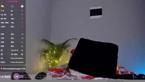 Dolly online show from December 2024 10:41:02 PM