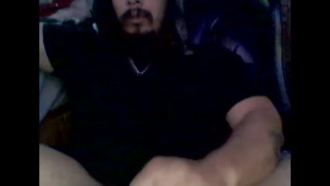 Snapshot of domanarchist chatting on January 2025 12:41:01 AM Sullyboyx online show from January 2025 12:41:01 AM