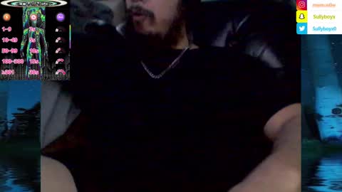 Snapshot of domanarchist chatting on February 2025 06:46:02 AM Sullyboyx online show from February 2025 06:46:02 AM