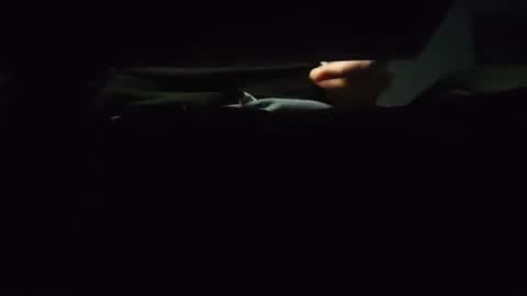 Snapshot of domcook147 chatting on January 2025 12:05:02 AM domcook147 online show from January 2025 12:05:02 AM