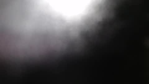 domenica online show from May 2026 12:24:01 PM