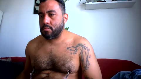 all fetishes online show from September 2025 04:21:02 PM