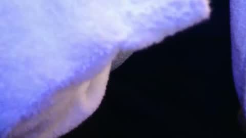 Snapshot of domse999 chatting on February 2025 11:34:02 AM domse999 online show from February 2025 11:34:02 AM