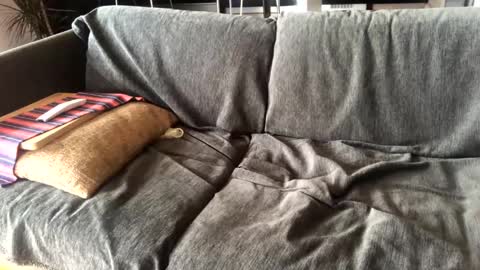 Alfredo online show from January 2025 11:10:01 AM