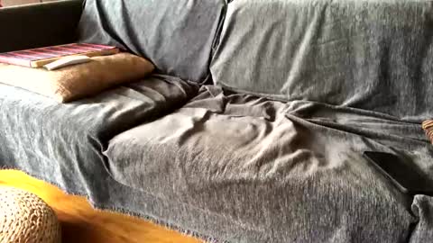 Alfredo online show from February 2025 09:47:02 AM