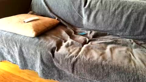 Alfredo online show from February 2025 08:39:02 AM