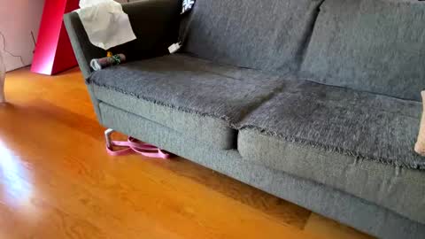 Alfredo online show from September 2025 08:39:01 AM