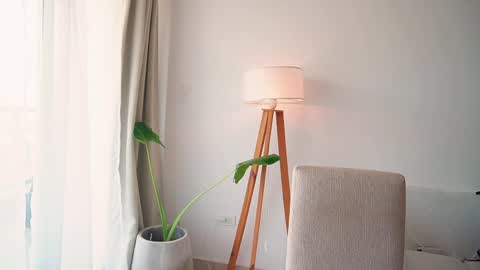 Donatella online show from April 2026 11:59:01 AM