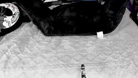 DOOM online show from March 2025 05:56:01 PM