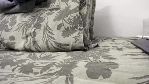 Snapshot of doriancretu95 chatting on December 2024 02:47:02 PM menu below online show from December 2024 02:47:02 PM