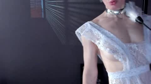 Snapshot of dorothy_meyer chatting on April 2026 09:04:01 PM Dorothy Next stream on Monday at 3am-9am online show from April 2026 09:04:01 PM