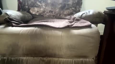 dotcom0062 online show from November 2025 06:26:01 PM