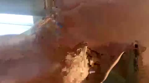 Snapshot of doug_funnie chatting on April 2026 07:26:02 PM doug_funnie online show from April 2026 07:26:02 PM