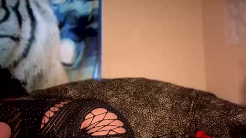 dove_love22 online show from January 2026 10:22:02 PM