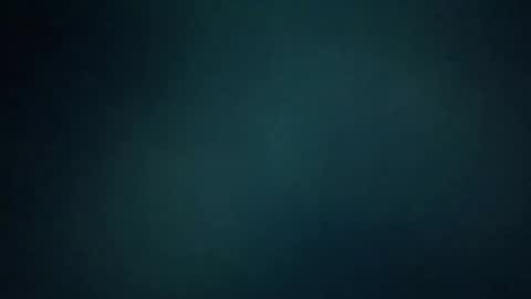 downforthemoney online show from December 2024 09:17:01 AM