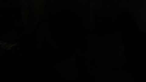 Dragon online show from January 2025 07:43:01 AM