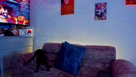 Drako online show from October 2025 12:23:01 PM