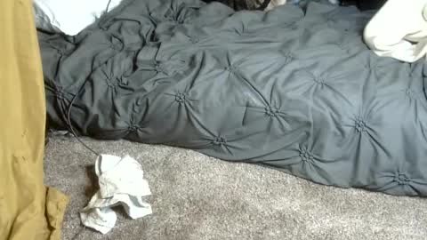 Dreadedted online show from February 2026 04:58:02 PM