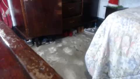 dreamreal online show from December 2024 09:52:02 AM