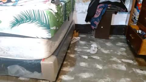 dreamreal online show from March 2026 10:40:02 AM