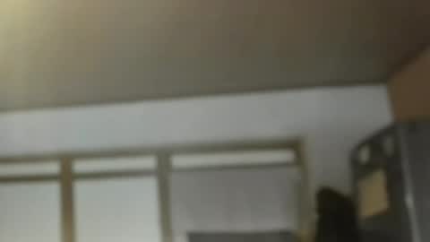 Dreambob online show from November 2025 12:07:02 PM