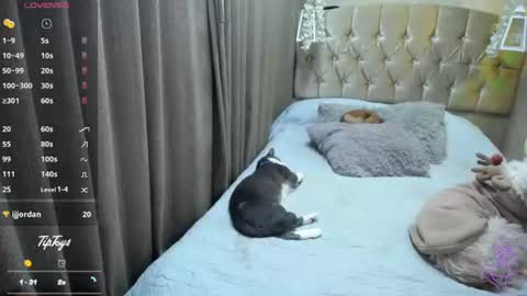 Snapshot of dreams_sophi chatting on July 2026 11:40:02 PM Sophia online show from July 2026 11:40:02 PM