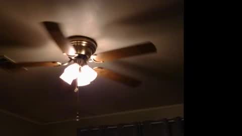 WetFilipinaPussy online show from November 2025 11:58:01 PM