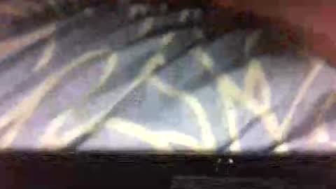 drippydickboy online show from November 2025 05:07:01 AM