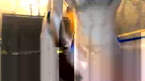 drippydickboy online show from January 2026 06:02:02 PM