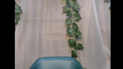 Snapshot of dripqueenx chatting on November 2025 01:50:01 AM linda online show from November 2025 01:50:01 AM