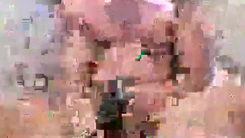 indian goat online show from September 2025 11:10:02 PM