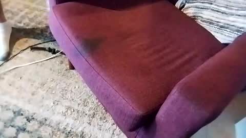 dtrain6969420 online show from March 2025 02:46:02 AM