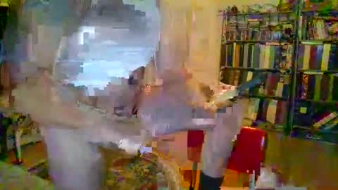 Snapshot of duallines2 chatting on March 2026 05:35:02 AM duallines2 online show from March 2026 05:35:02 AM