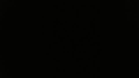 DULCE MARIA online show from June 2026 04:51:02 AM