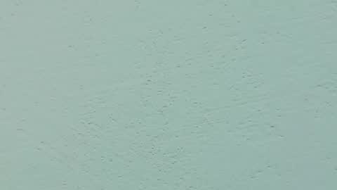 Dulce online show from October 2025 09:45:01 AM