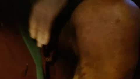 dunany101 online show from February 2025 10:53:02 PM