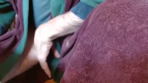 dunany101 online show from March 2025 05:03:02 PM