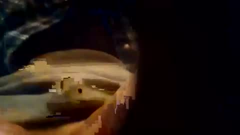 dusterdime online show from October 2025 05:38:02 AM