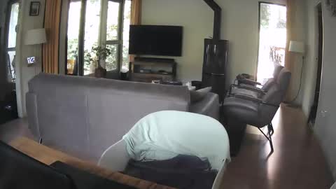 Snapshot of dutchsmooth chatting on September 2025 09:42:02 AM dutchsmooth online show from September 2025 09:42:02 AM