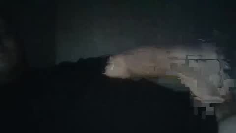 dxjbre online show from January 2026 09:50:02 PM